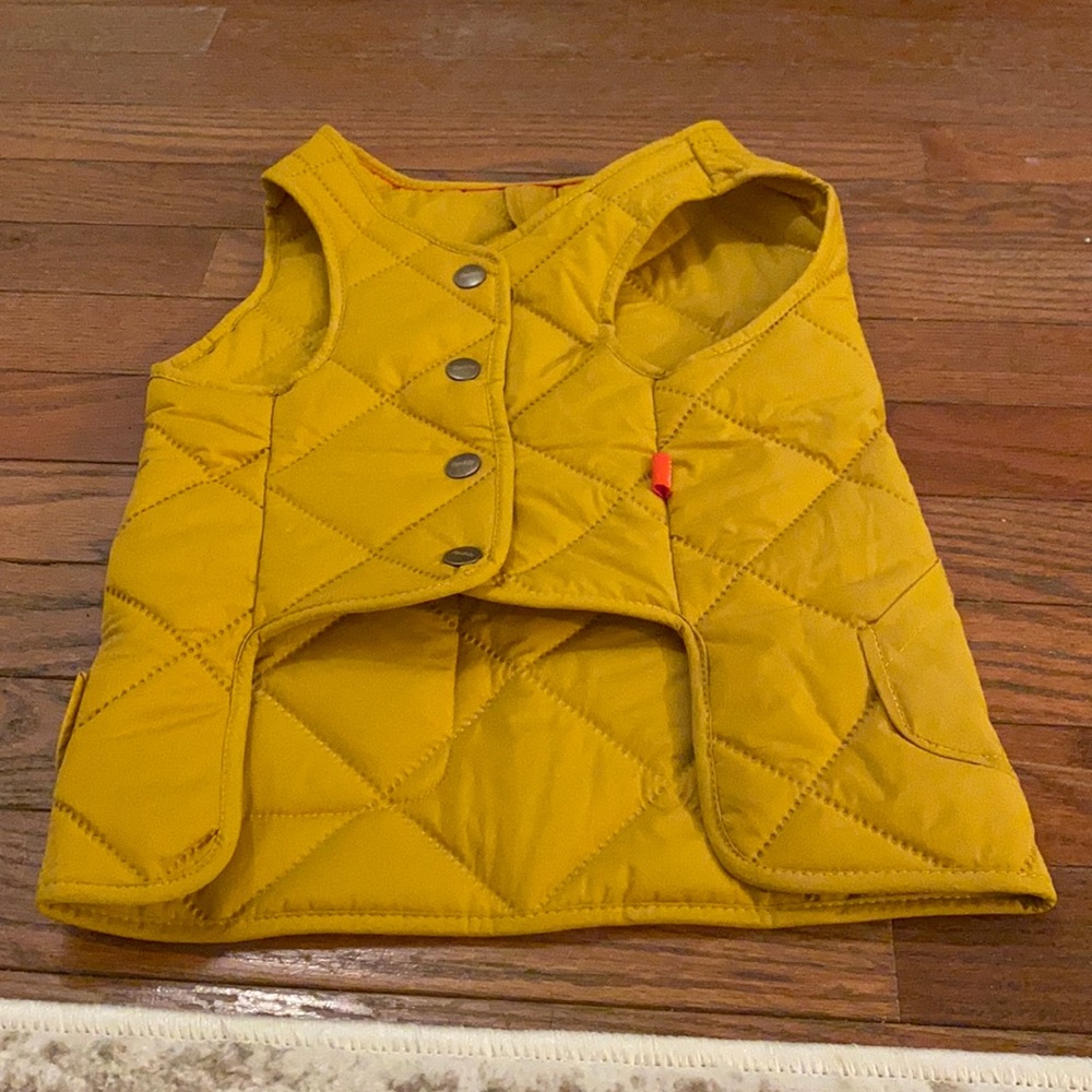 Yellow pet vest